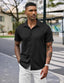 Mens Linen Shirt In Black